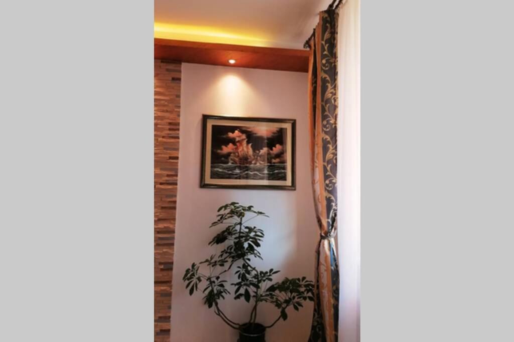 Oasis Felix Apartment Bělehrad Exteriér fotografie