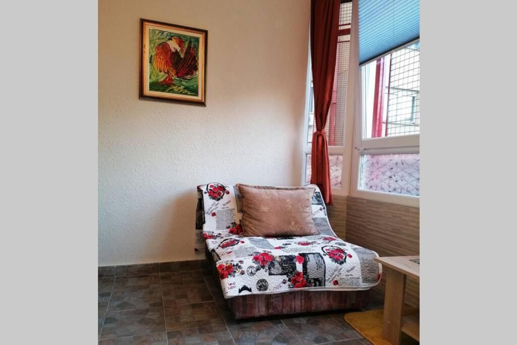 Oasis Felix Apartment Bělehrad Exteriér fotografie