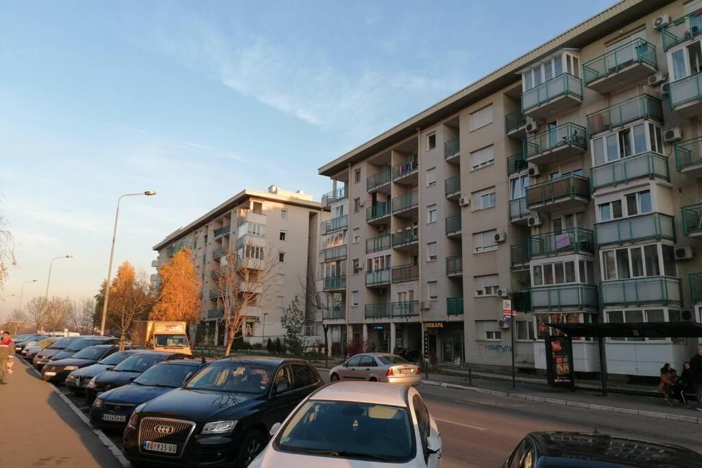 Oasis Felix Apartment Bělehrad Exteriér fotografie